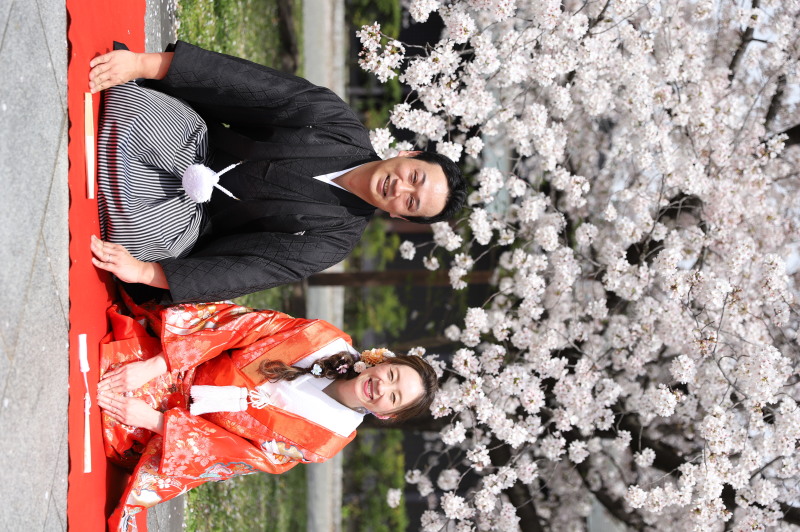 桜をバックに定番の正座カット