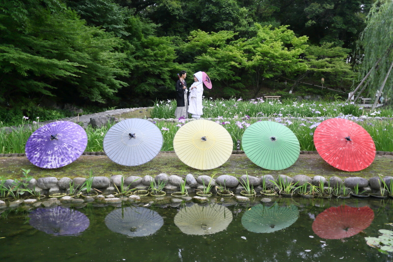 日本庭園は和傘が映えます☆