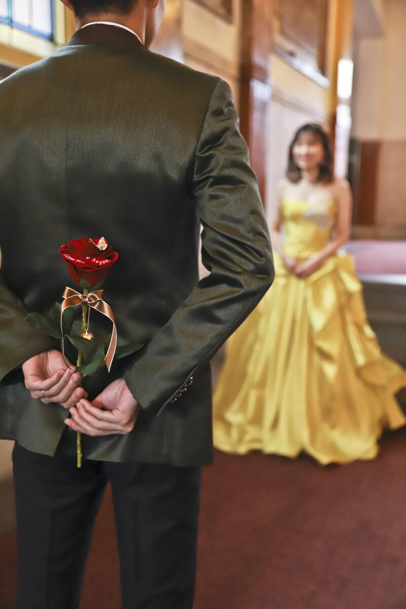 あの物語の赤いバラを持って