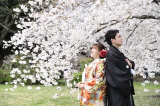 満開の桜をバックに和装2点（白無垢と色打掛）でウエディングフォトを