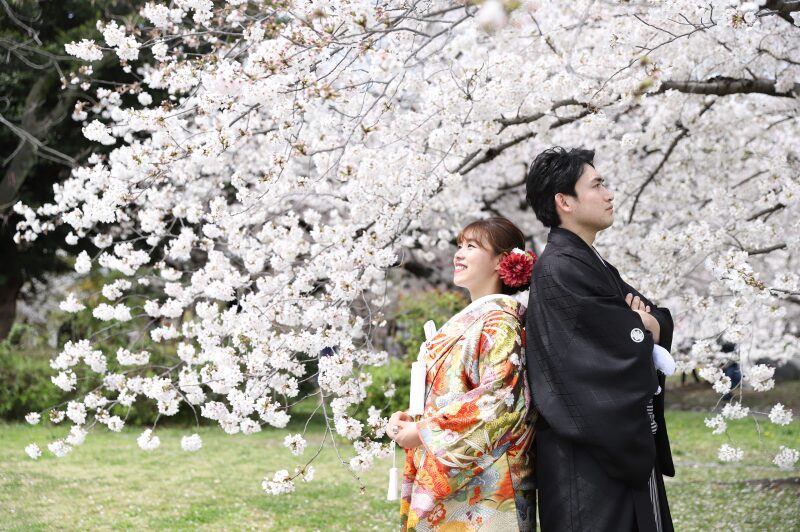 満開の桜をバックに和装2点(白無垢と色打掛)でウエディングフォトを