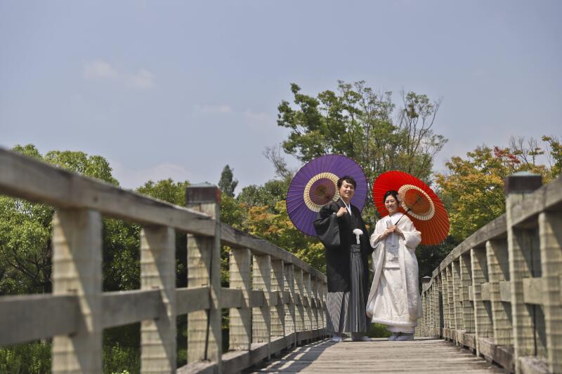 白鳥庭園は橋・池・竹林・和室とスポットが豊富です