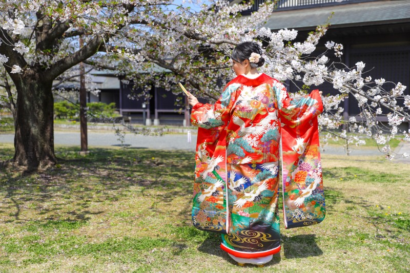 桜の下で舞う色打掛