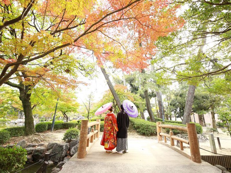 バックショット☆