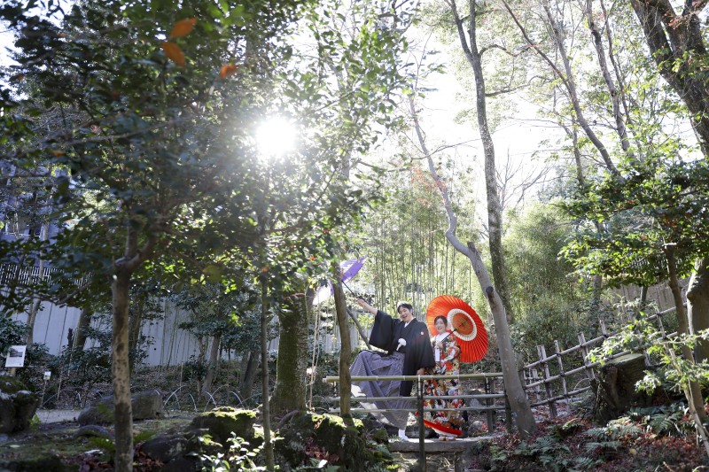 和の心、緑に包まれて