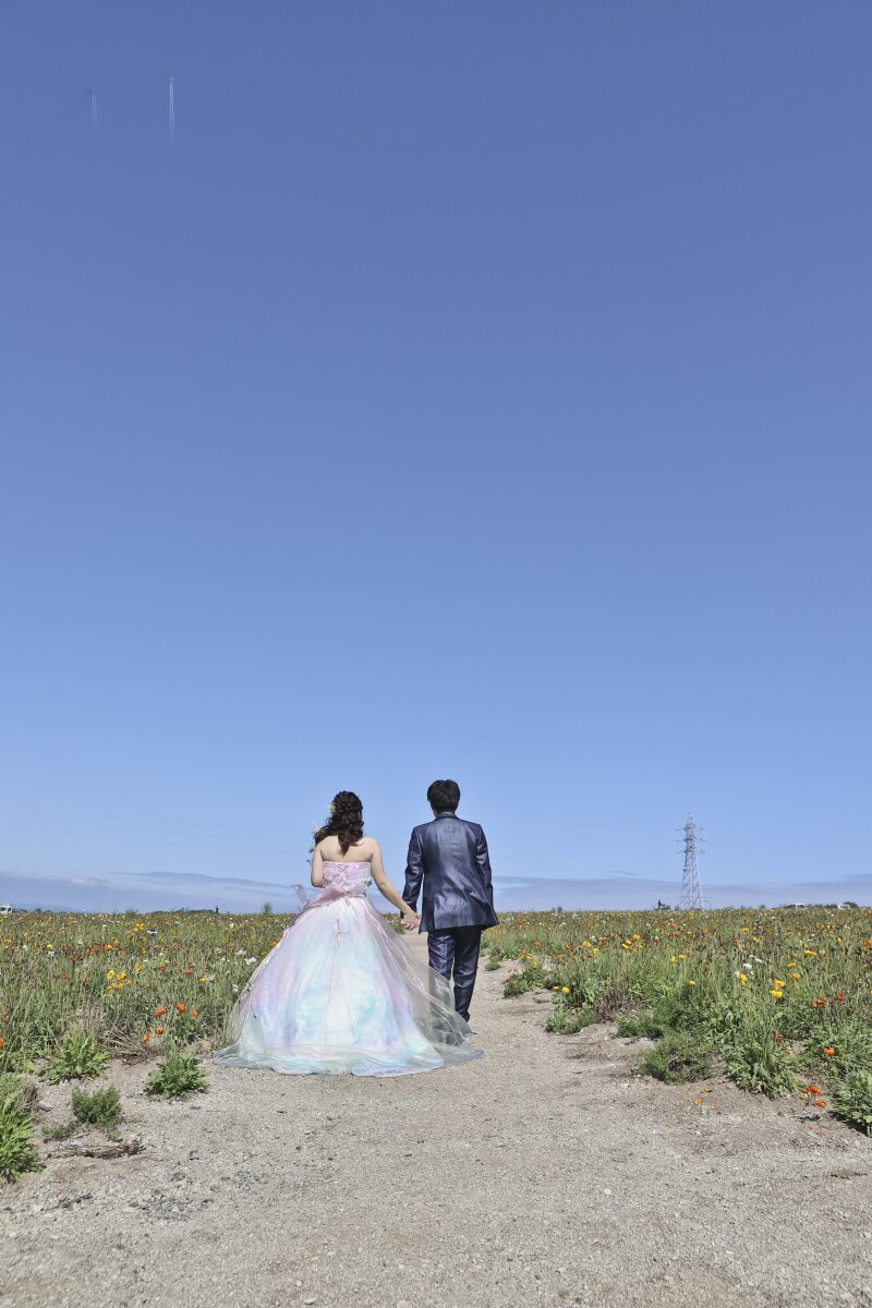 青空の下、お花畑をお散歩