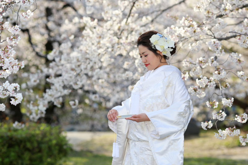 白無垢×桜