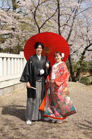 桜×神社仏閣×華やか豪華な色打掛で和装前撮り