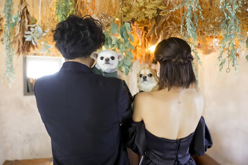 ブラックドレスを着て愛犬と一緒に撮るウエディングフォト撮影