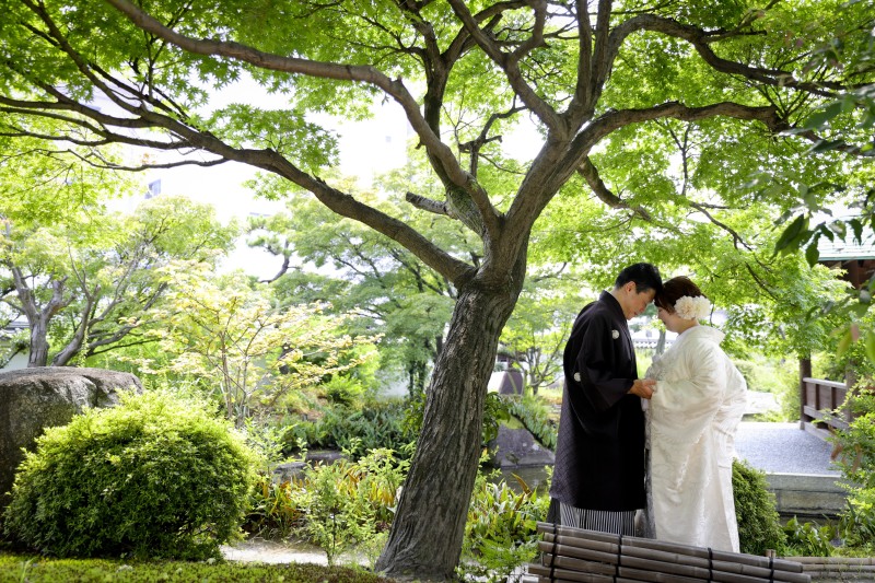 鮮やかな新緑の緑は5~8月あたりまで楽しめます