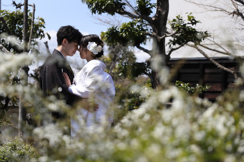 お花越しにおでこコツンポーズ