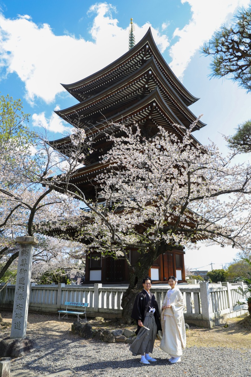 桜並木と五重塔に見守られて