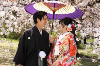 【名古屋城】満開の桜と紅色の和傘に包まれる色打掛前撮り