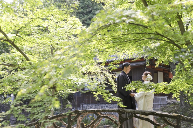 新緑に囲まれて橋の上での1カット