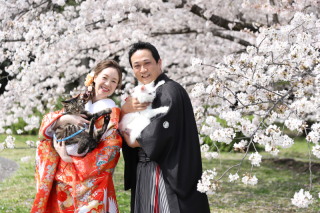 和装ロケ名古屋城☆洋装スタジオ☆満開の桜とペットと一緒に