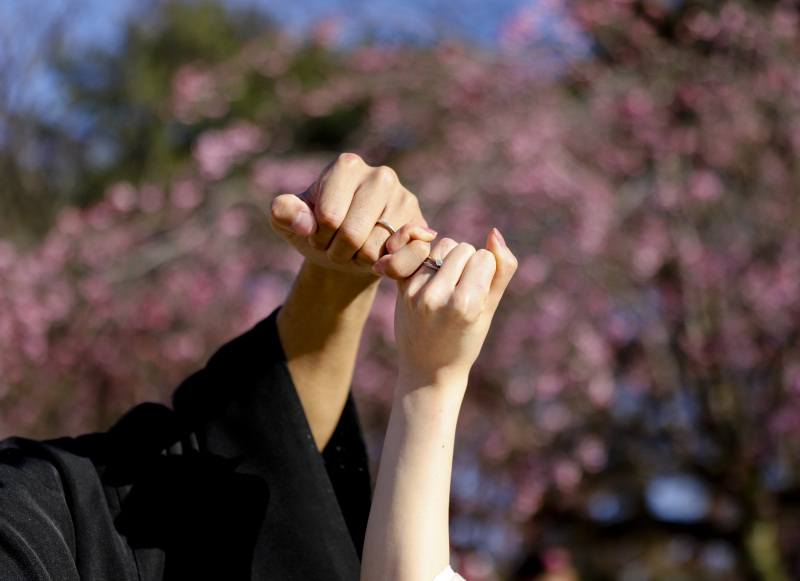 桜をバックに指輪のカット