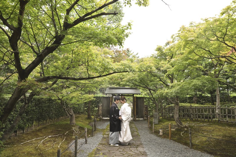 緑に包まれた静かな対話
