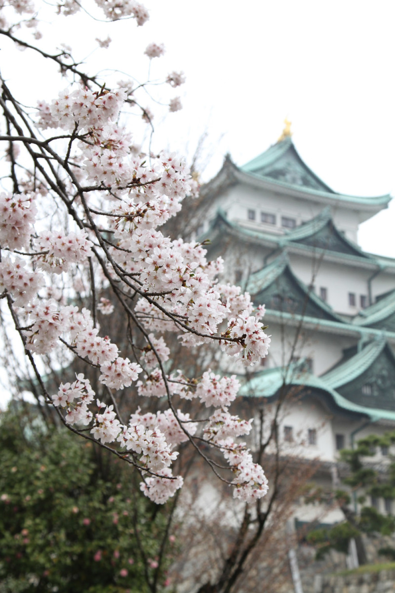 名古屋城☆