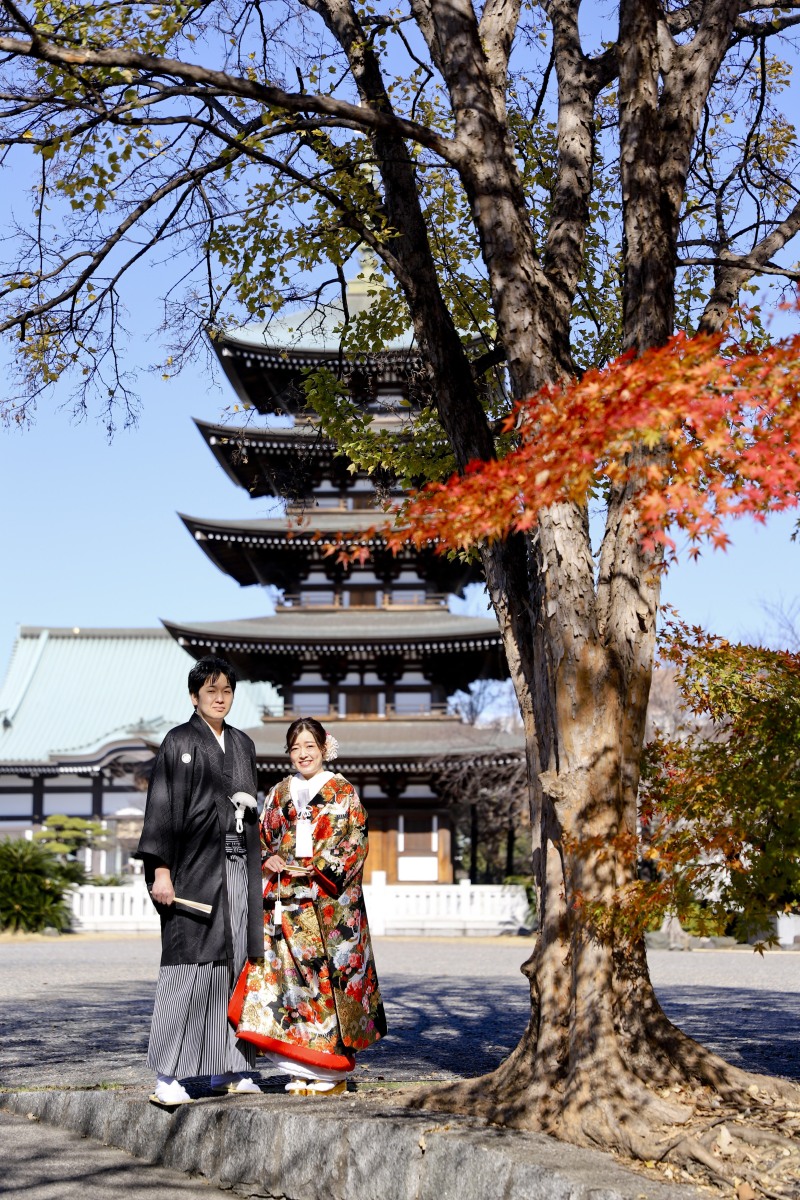 紅葉と五重塔の景色