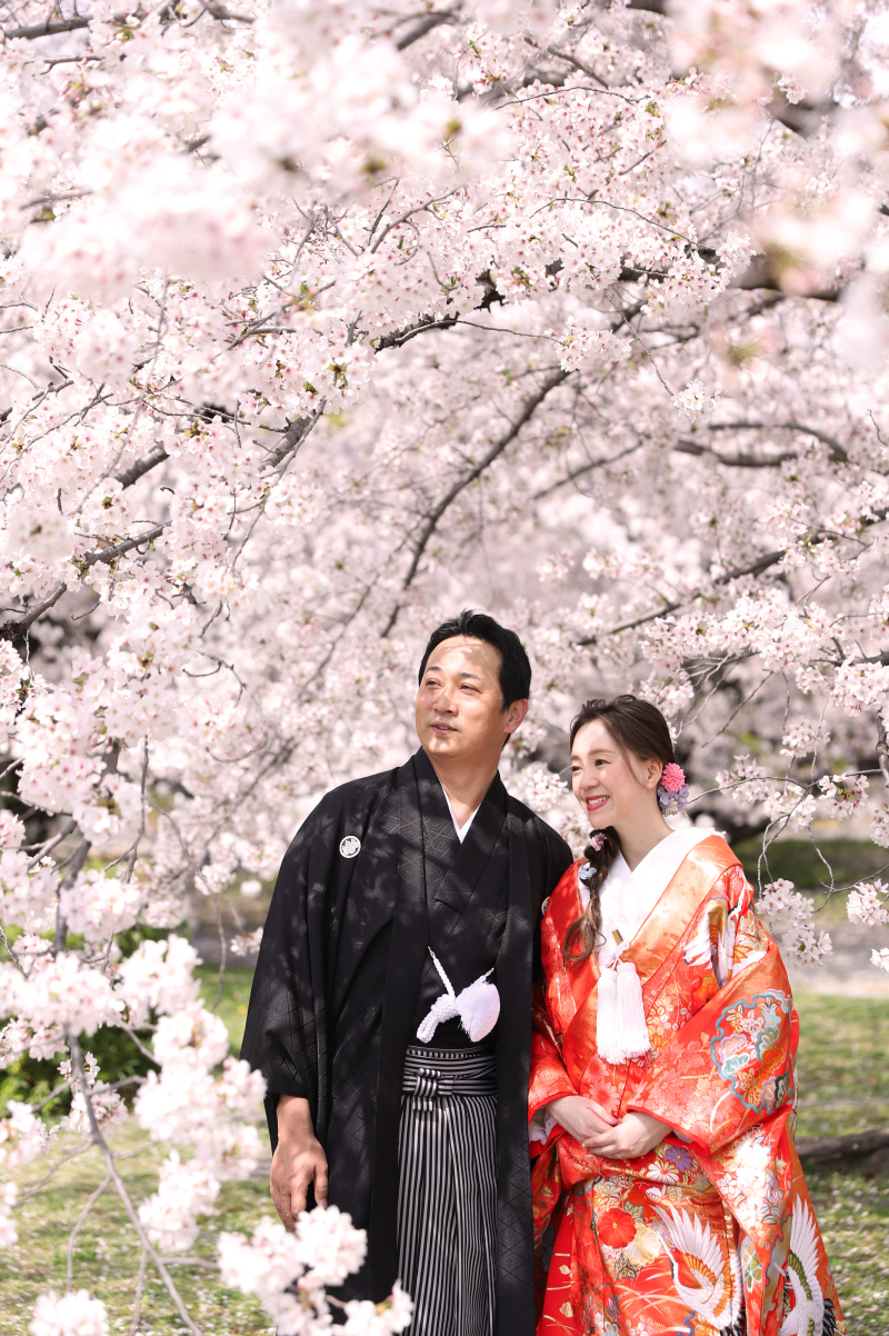 満開の桜に囲まれて❀