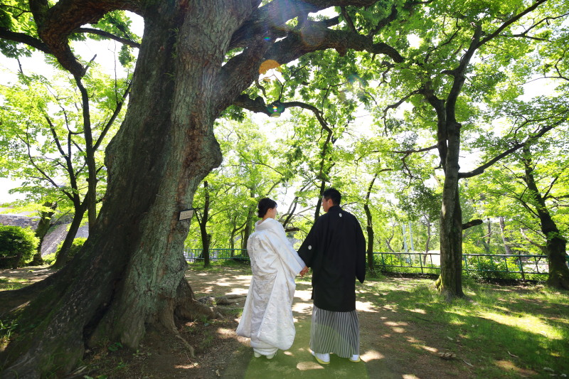 新緑に囲まれた木漏れ日エリア