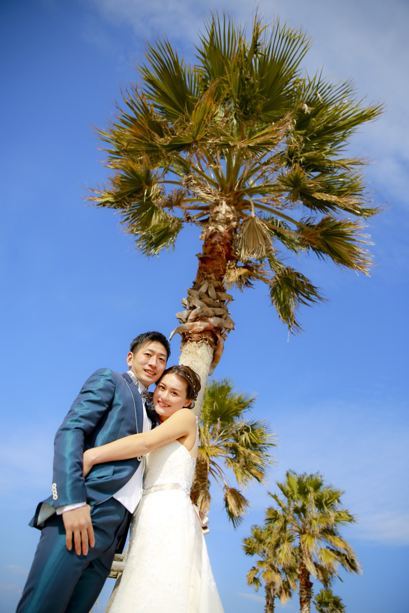 ヤシの木をバックに