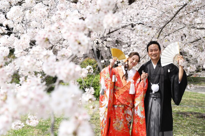 和装ロケ名古屋城☆洋装スタジオ☆満開の桜とペットと一緒に