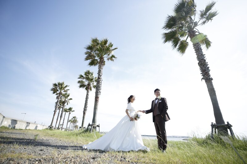 青空とヤシの木の下で