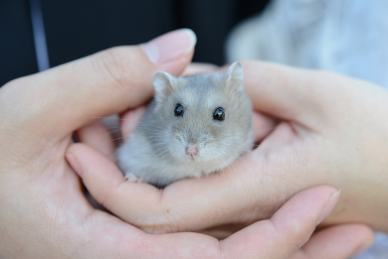 かわいい家族と☆