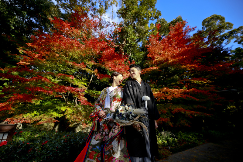 紅葉のグラデーション