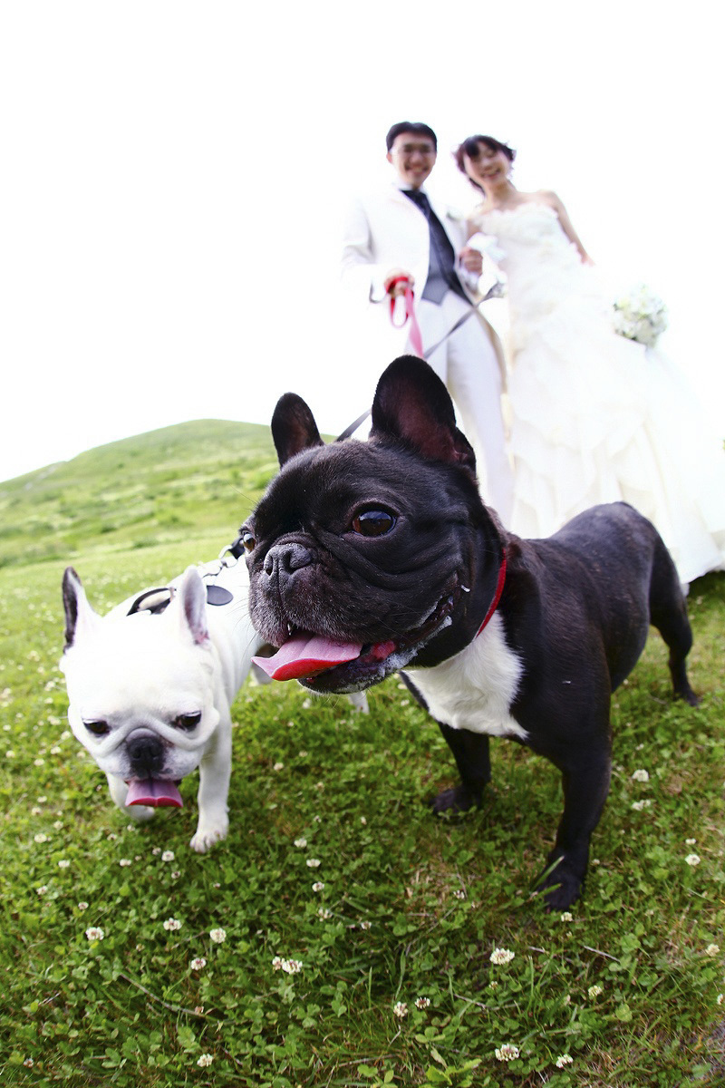 Asect名古屋本店_ペットと一緒に撮影できる