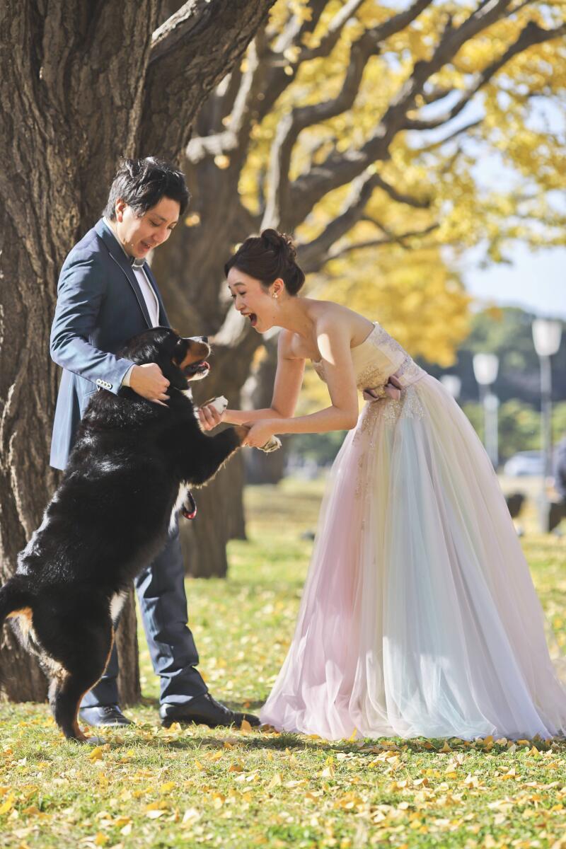 Asect名古屋本店_ペットと一緒に撮影できる
