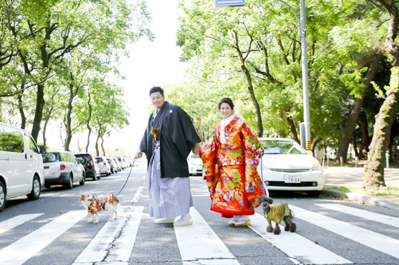 ペットと一緒に撮影できる愛知県の31スタジオを比較 前撮り 結婚写真 フォトウェディングのphotorait