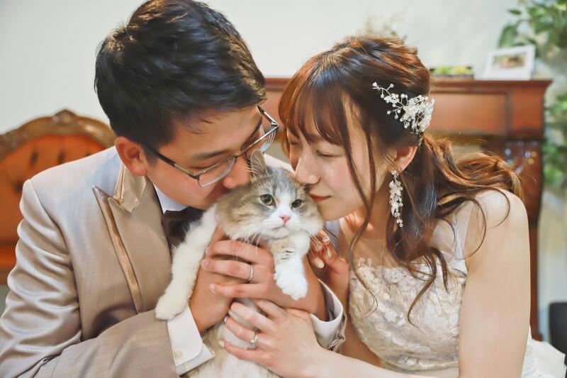 結婚式 花嫁さん 花婿さん 猫 幼かっ 家族 ウェルカムボード