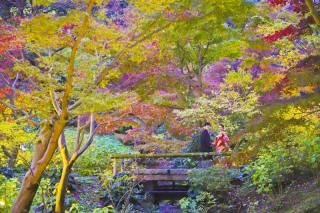 Asect名古屋本店_【和】徳川園・白鳥庭園・神社仏閣