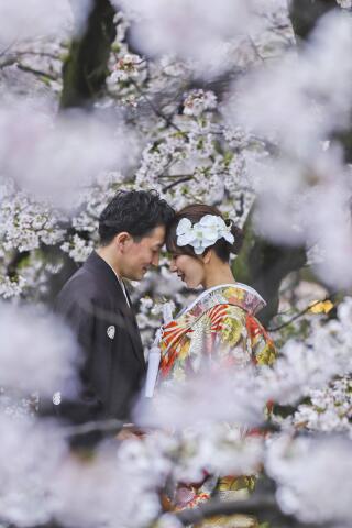 Asect名古屋本店_【和】桜・紅葉