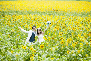 Asect名古屋本店_【洋】庄内緑地公園・名城公園・久屋大通庭園・花ひろば