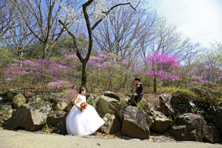 Asect名古屋本店_【洋】庄内緑地公園・名城公園・久屋大通庭園・花ひろば