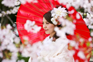 Asect名古屋本店_【和】桜・紅葉
