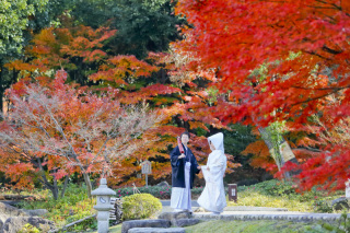 Asect名古屋本店_【和】桜・紅葉