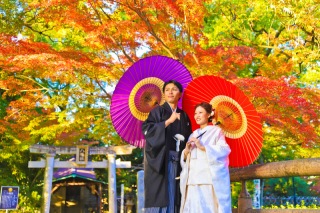 Asect名古屋本店_【和】桜・紅葉