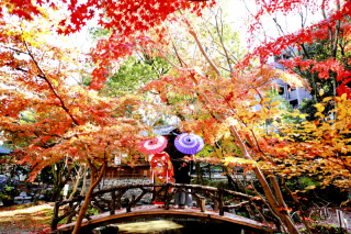 Asect名古屋本店_【和】桜・紅葉