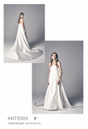 P　ANT0904