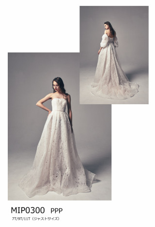 PPP　MIP0300