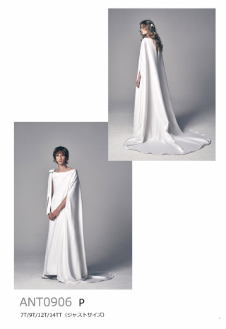 P　ANT0906