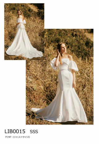SSS　LIB0015