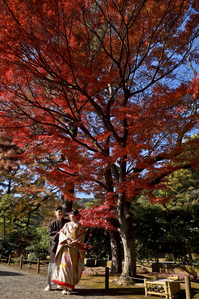 紅葉と