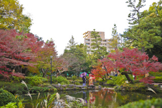 日本庭園でゆったりと☆白無垢と色打掛の和装ロケ☆