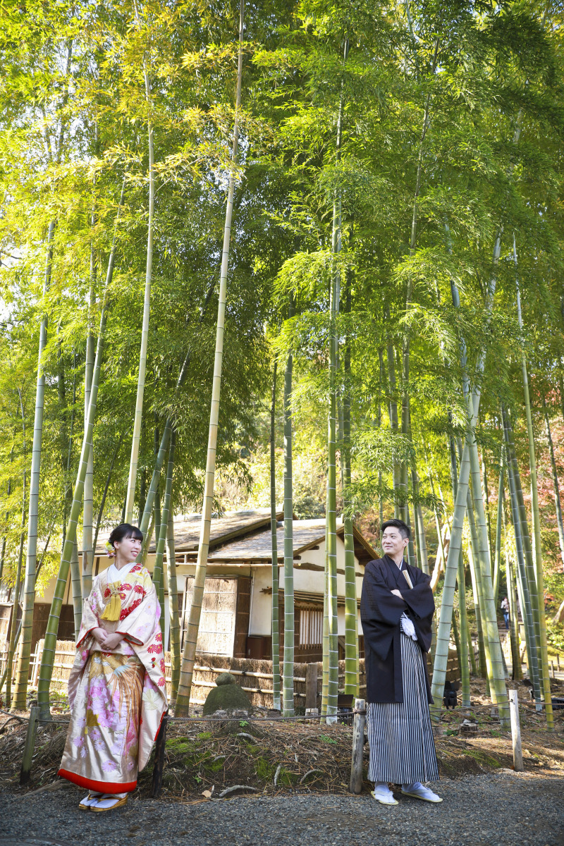 竹林と