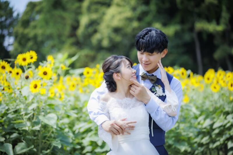 向日葵と熱い視線